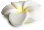 POKHARA BAR SOAP 105g "Γαρδένια"