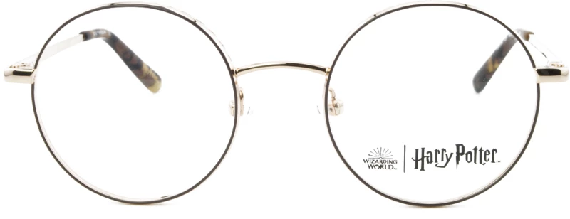 HARRY POTTER HP014 Em