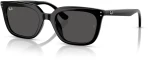 RAY BAN RB 4439D 901/87