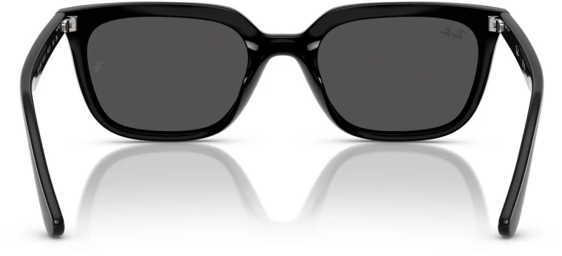 RAY BAN RB 4439D 901/87