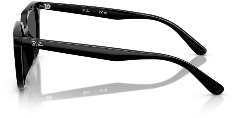 RAY BAN RB 4439D 901/87