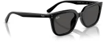 RAY BAN RB 4439D 901/87
