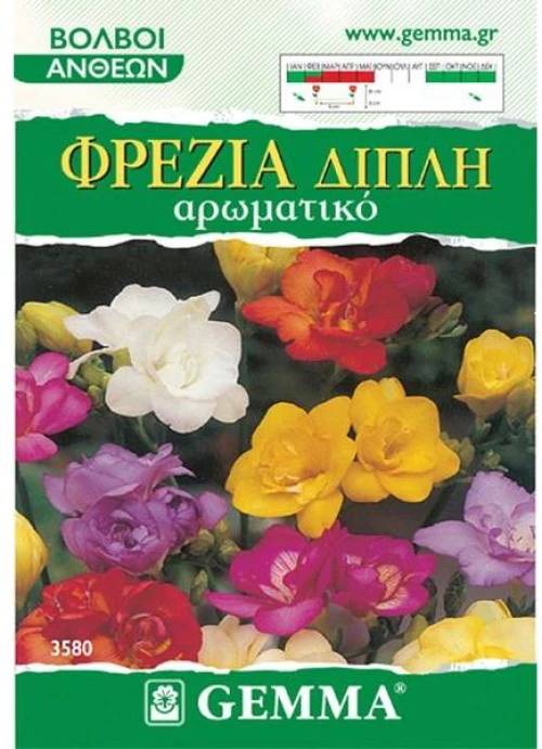 Φρέζια Διπλή Αρωματική Μίγμα
