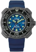 Ανδρικά Ρολόγια Citizen BN0227-09L