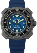 Ανδρικά Ρολόγια Citizen BN0227-09L