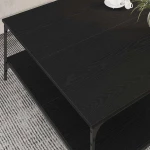 vidaXL Τραπεζάκι σαλονιού Μαύρη δρυς 100 x 100 x 40 cm