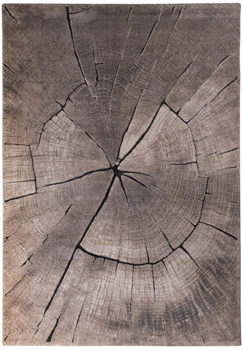 Tzikas Carpets 77461-370 Χαλί DORIAN 200x290