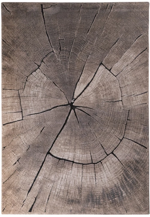Tzikas Carpets 77461-370 Χαλί DORIAN 200x290