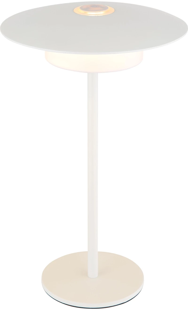 Φωτιστικό Επιτραπέζιο Globo Lighting KYLER 21024W 1800+2700+3000K