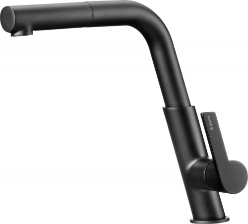 Kitchen faucet with pull-out spout