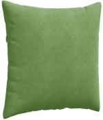 vidaXL Μαξιλάρι Καναπέ 2 pcs Ανοιχτό Πράσινο 60 x 60 cm