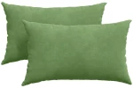 vidaXL Μαξιλάρι Καναπέ 2 pcs Ανοιχτό πράσινο 50 x 30 cm