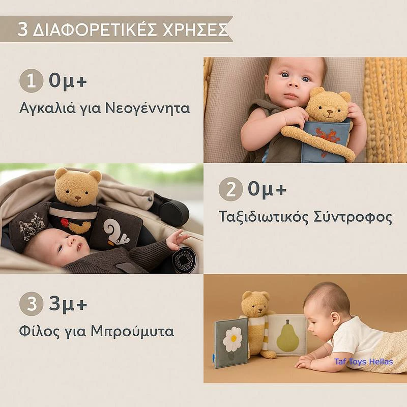 Taf Toys Υφασμάτινο Βιβλίο Δραστηριοτητήτων Snuggle Bear
