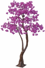 Δέντρο Βουκαμβίλια 89800 280cm Fuchsia
