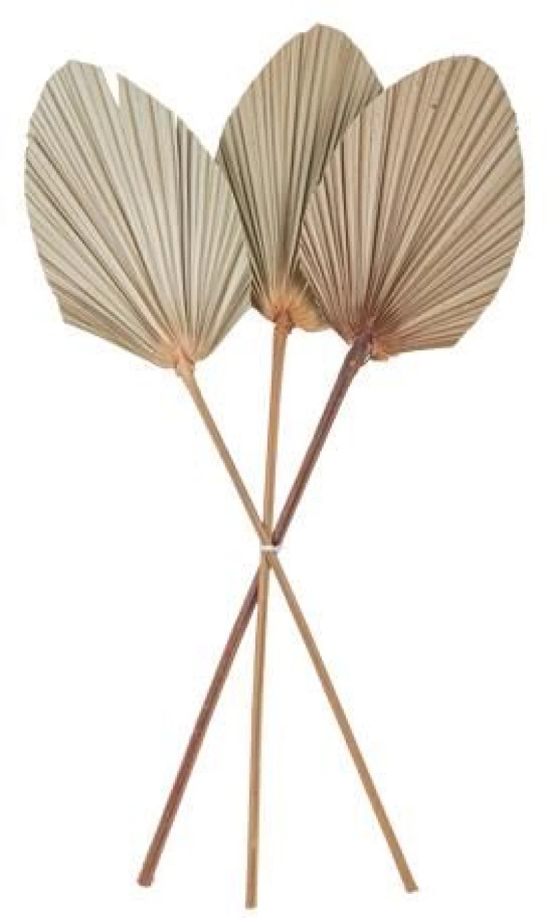 Beauty Home ΦΥΛΛΑ ΠΑΛΜΑ ΣΕΤ 3 ΤΜΧ 60 x 15 cm