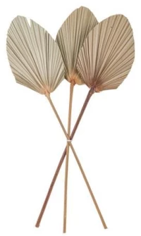Beauty Home ΦΥΛΛΑ ΠΑΛΜΑ ΣΕΤ 3 ΤΜΧ 60 x 15 cm