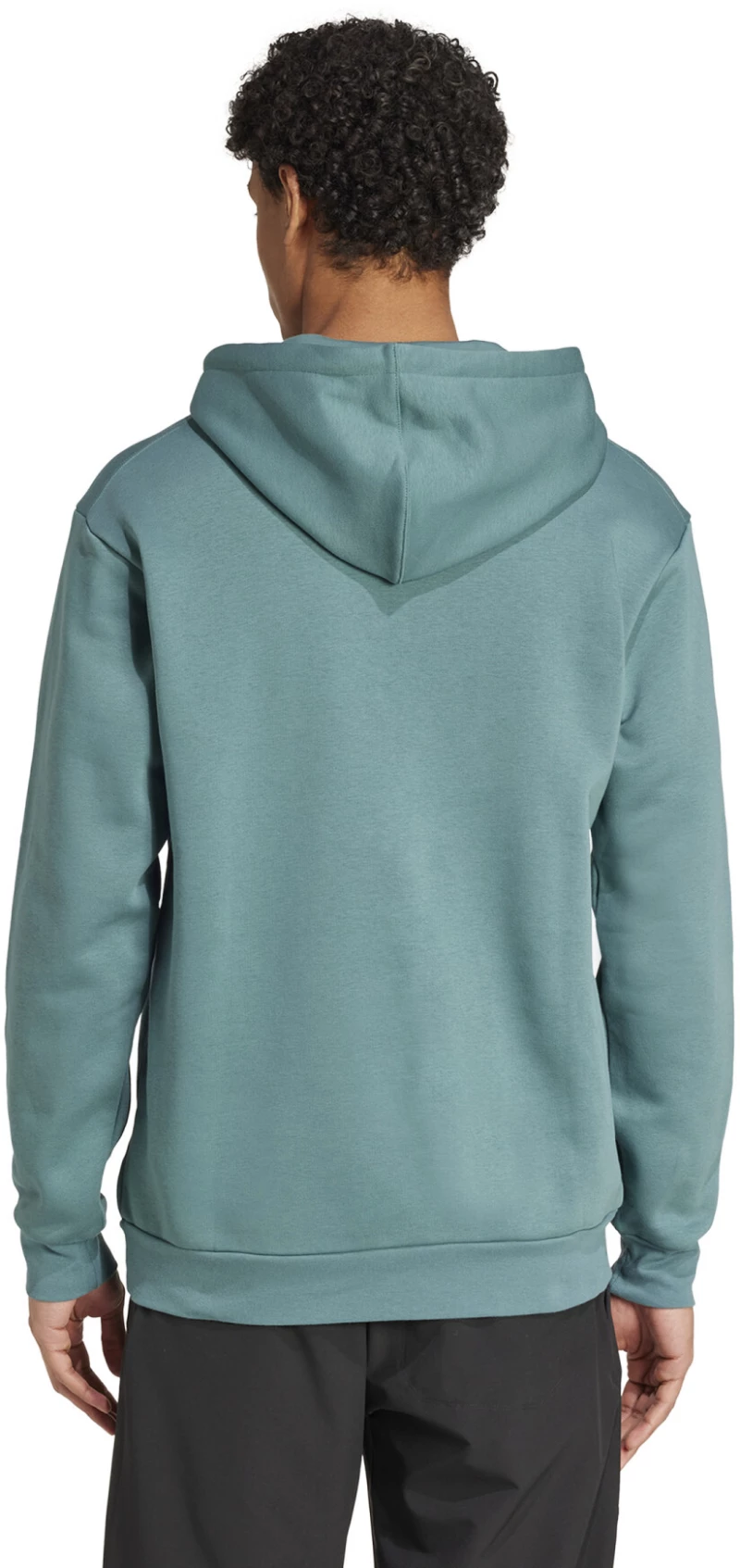 Adidas Terrex Multi Large Logo Φούτερ Preloved Teal