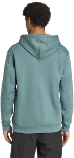 Adidas Terrex Multi Large Logo Φούτερ Preloved Teal