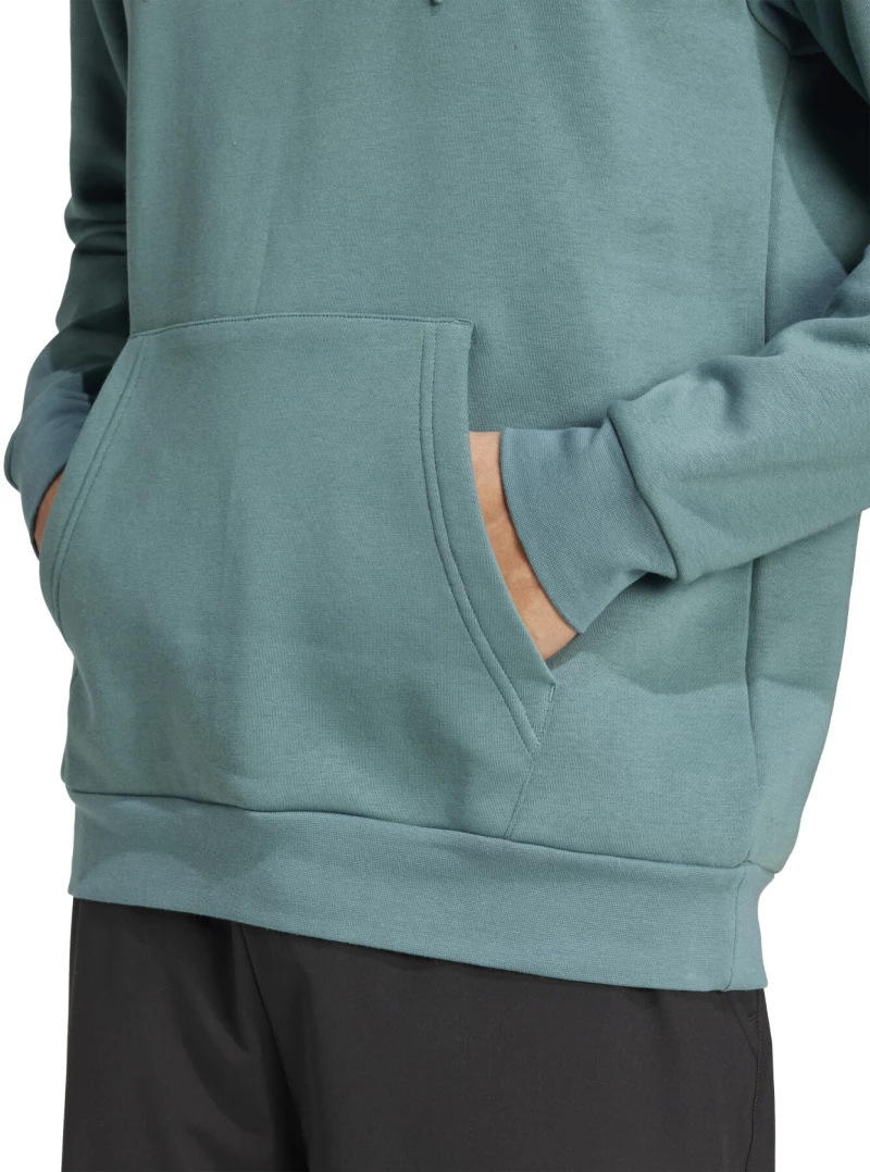 Adidas Terrex Multi Large Logo Φούτερ Preloved Teal
