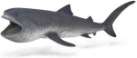 COLLECTA ΜΕΓΑΛΟΣΤΟΜΟΣ ΚΑΡΧΑΡΙΑΣ- 80046
