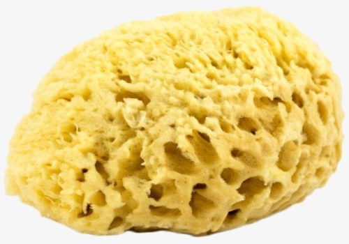 ΣΦΟΥΓΓΑΡΙ ΦΥΣΙΚΑ Νο6