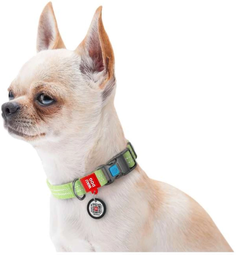 Waudog Κολάρο Σκύλου με Smart ID Reflective Light Green Fastex L 25mm x 33-49cm
