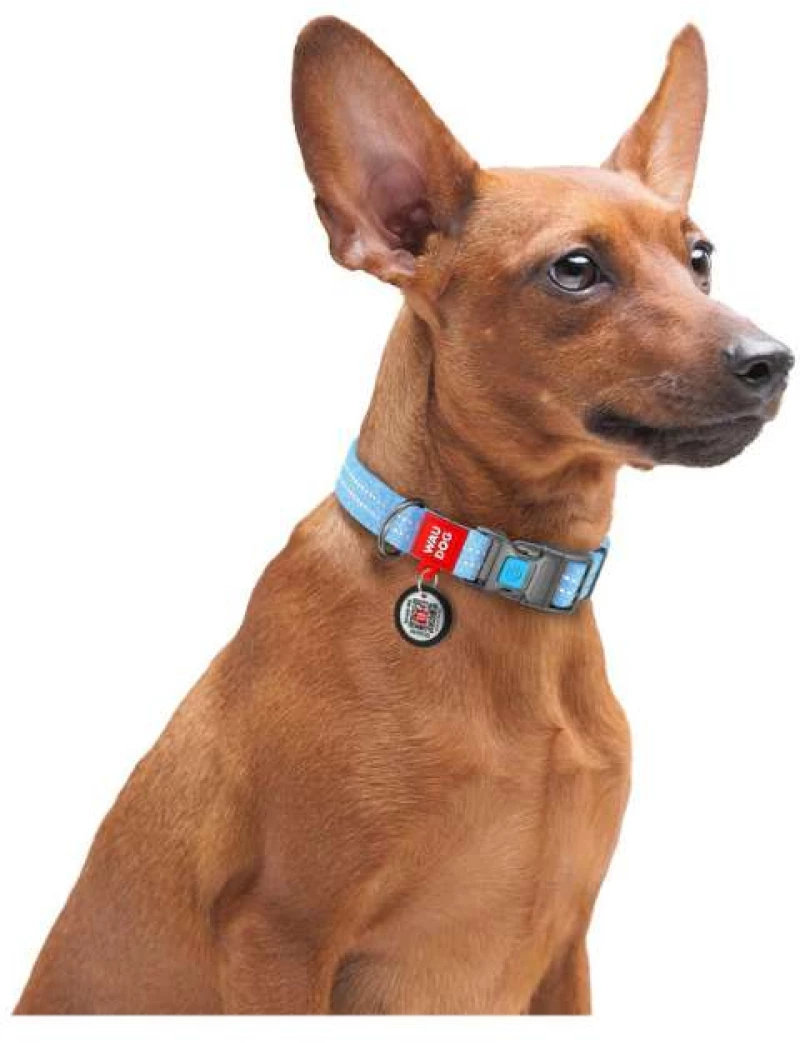 Waudog Κολάρο Σκύλου με Smart ID Reflective Blue Fastex L 25mm x 33-49cm