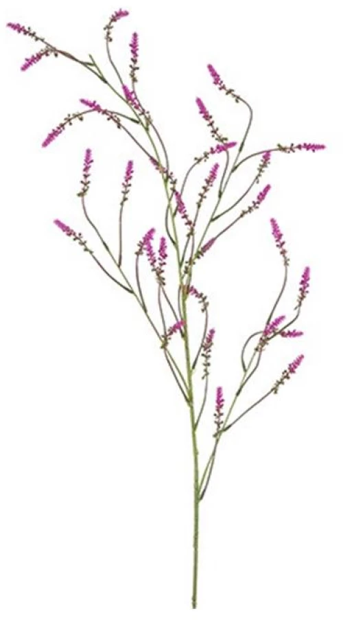 Melilotus κλαδί λιλά 115εκ.