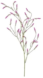 Melilotus κλαδί λιλά 115εκ.