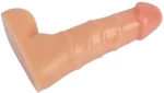 Beginner 6.7 Inch Dildo NO.02