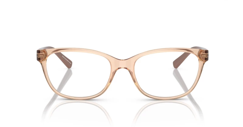 ARMANI EXCHANGE AX 3037 8342