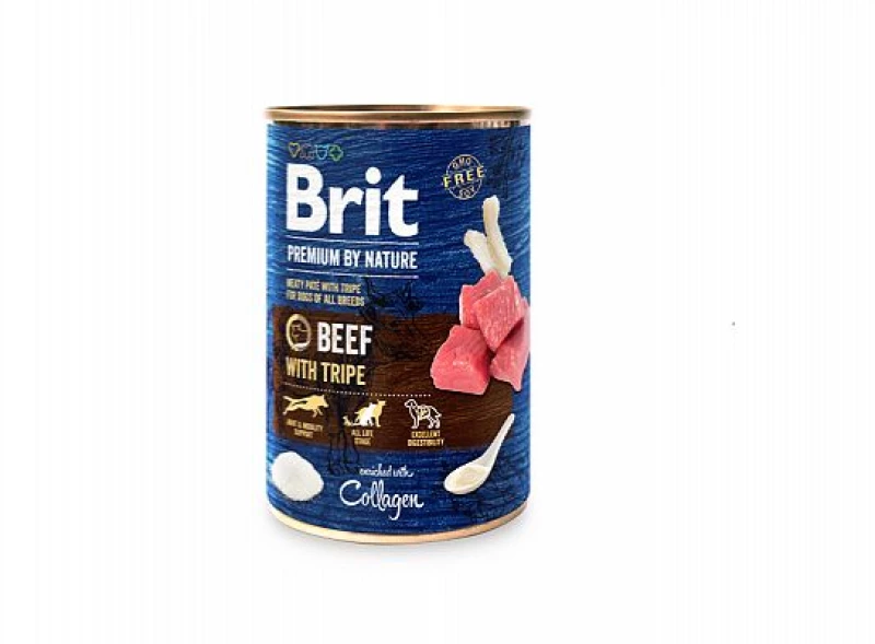 BRIT BY NATURE Κονσέρβα σκύλου 400gr 400γρ FISH WITH FISH SKIN