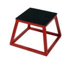 Plyo Box 30cm (X-FIT)
