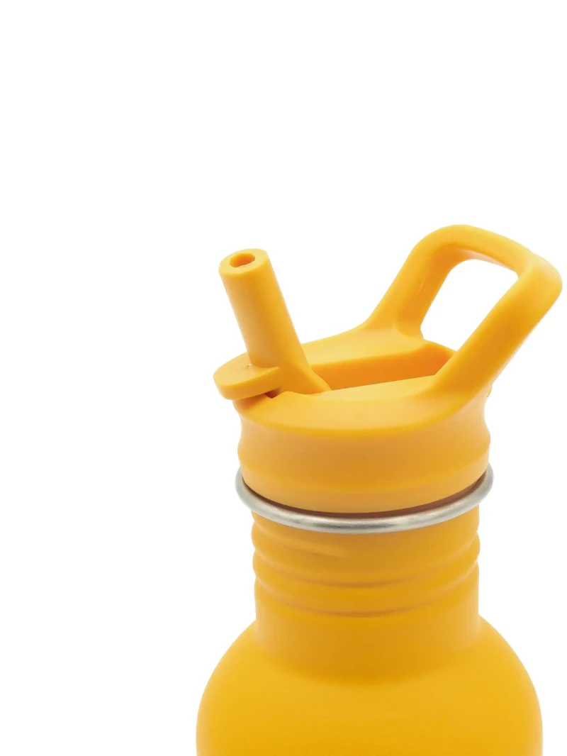 Sassi Ανοξείδωτο Μπουκάλι με Καλαμάκι 500ml - Chompy The Lion