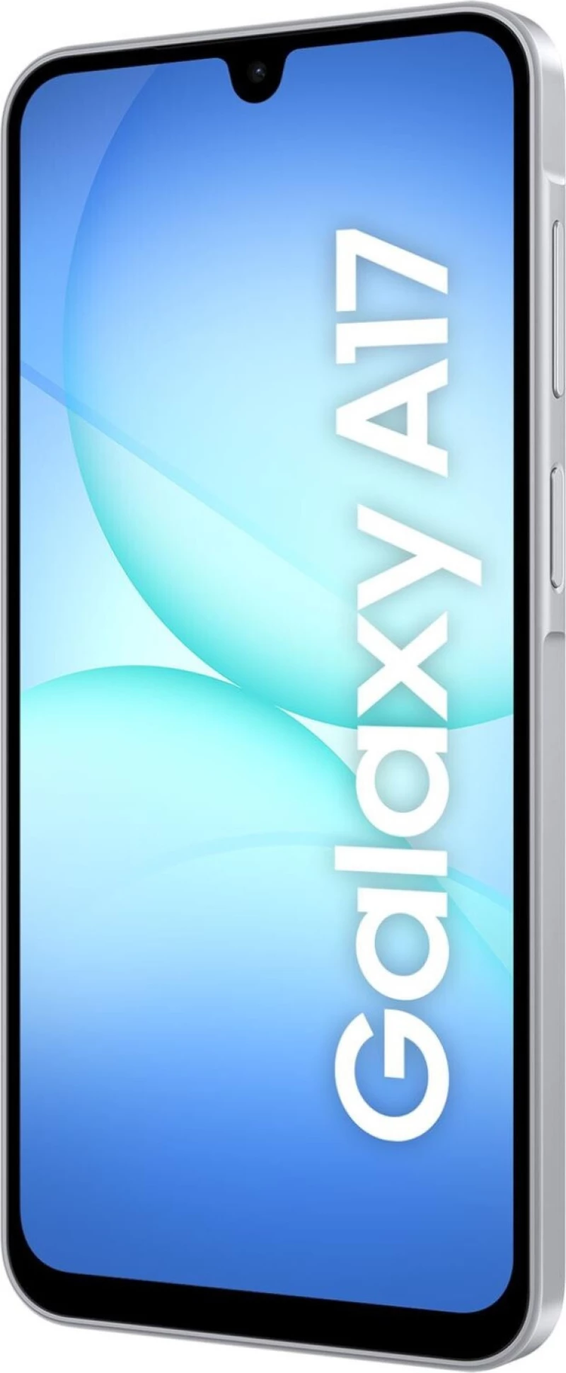 Samsung Galaxy A17 4G (8GB/256GB) Gray