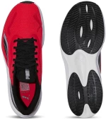 PUMA POUNCE LITE (310778-34)