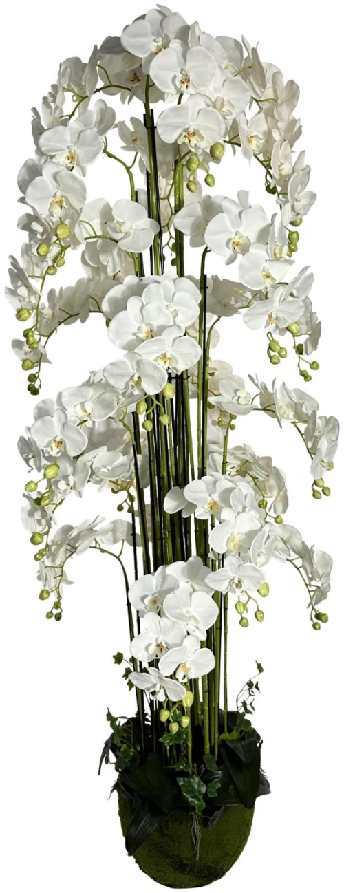 Supergreens Τεχνητό Φυτό Ορχιδέα "Phalaenopsis" Real Touch με Moss Βάση Λευκό 180 εκ.