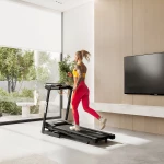 Ηλεκτρικός διάδρομος Zipro Pulse