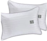Σετ Μαξιλάρια Ύπνου 2 Τεμαχίων Guy Laroche Easy Fit Σκληρό 50x70