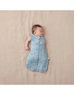 Βρεφικός Υπνόσακος ErgoPouch Cocoon Swaddle Bag Dragonflies 2.5 tog 0-3m BR77827