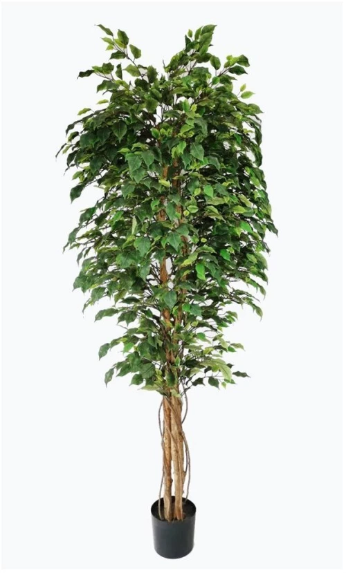 Ficus Tree Np230_210_Uv  Ύψος 210cm Newplan