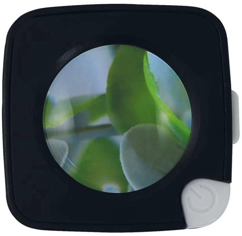 Smokus Focus Comet Black