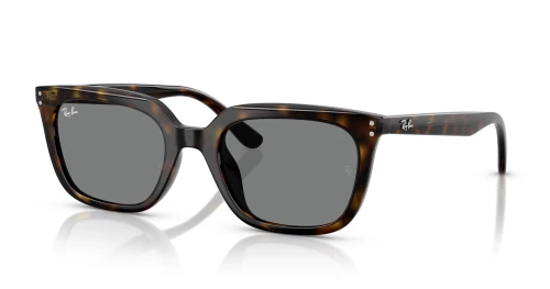 RAY BAN RB 4439D 710/87