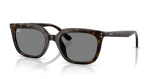RAY BAN RB 4439D 710/87