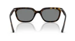 RAY BAN RB 4439D 710/87
