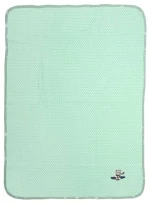 Κουβέρτα Βρεφική Aviator 186 Πικέ Με Κέντημα Mint DimCol Αγκαλιάς 80x110cm 100% Βαμβάκι