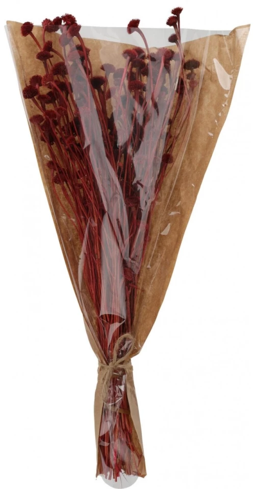 ΤΕΧΝΗΤΆ ΦΥΤΆ & ΚΑΣΠΏ DRIED FLOWERS WILD DAISY RED AMD001130