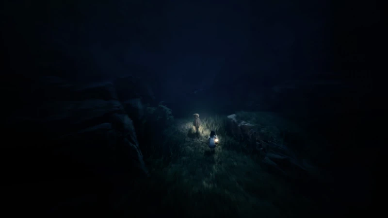 Reanimal / Nintendo Switch 2
