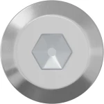 vidaXL Βίδα 12 pcs Ασημί M6 x 60 χιλ. Ατσάλι