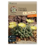 Κάκτος Titanopsis Calcarea